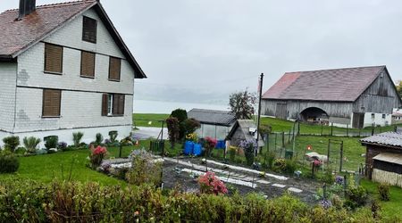 Farm Houses